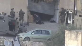 W Bank: Israeli forces carry out extrajudicial executions of surrendered Palestinians – Not a Ceasefire Day 49