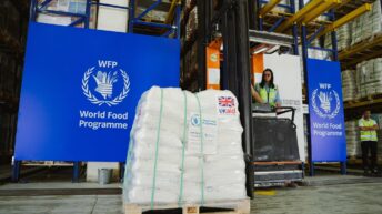 Did Israel harvest organs before returning corpses to Gaza? – Not a Ceasefire Day 32