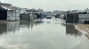 More Gazans freeze to death amid storms and flooding – Not a Ceasefire Day 64