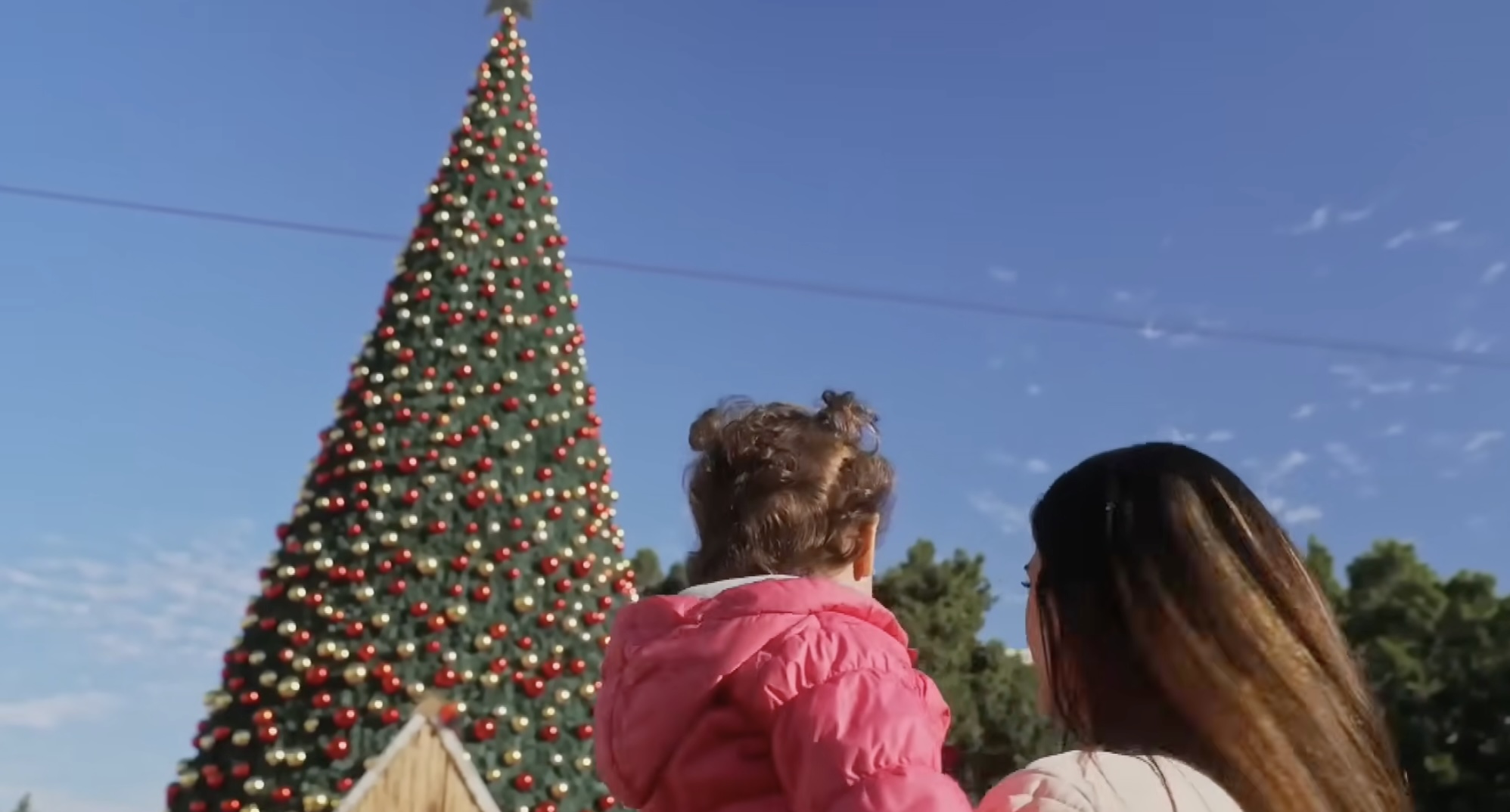 View of the Christmas tree in Manger Square, Bethlehem