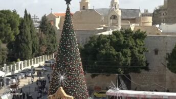 Christmas in the grip of genocide, occupation – Not a Ceasefire Day 77