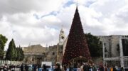 Bethlehem’s Christmas tree rises after two silent years amid Gaza’s genocide and West Bank violence