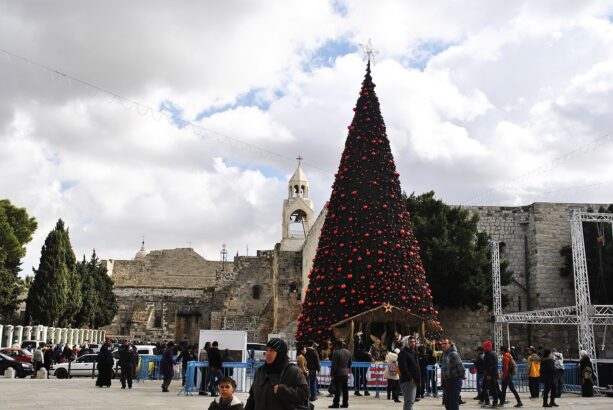 Bethlehem’s Christmas tree rises after two silent years amid Gaza’s genocide and West Bank violence Bethlehem’s Christmas tree rises after two silent years amid Gaza’s genocide and West Bank violence