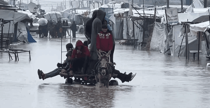 Amnesty: ‘Utterly preventable’ Gaza flood tragedy must mobilize global action to end Israel’s genocide Amnesty: ‘Utterly preventable’ Gaza flood tragedy must mobilize global action to end Israel’s genocide