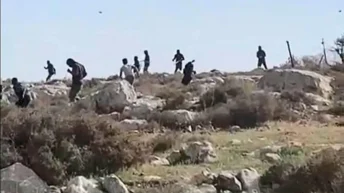 West Bank: Israeli Settlers Steal & Slaughter Palestinian’s Donkey