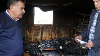 Brutal Beatings, Arson, and Impunity: A Palestinian Plant Nursery Becomes a Target for Settler Pogroms