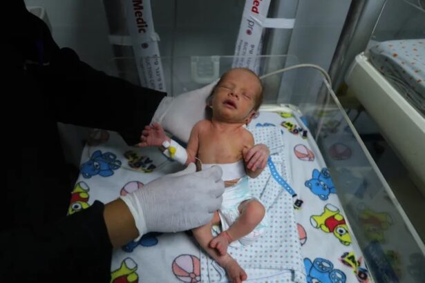 Surge in premature births, congenital defects, cancer deaths in Gaza – Not a ceasefire Day 92