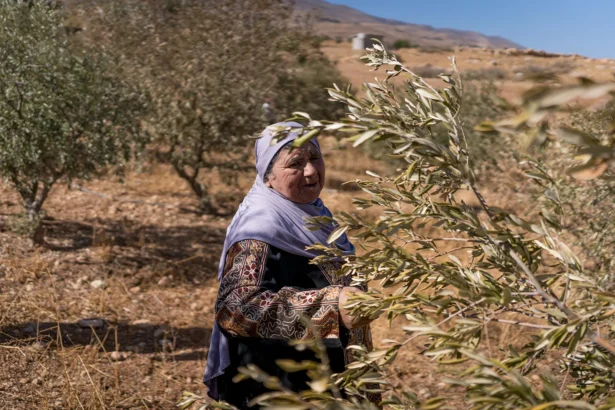 Land Day and the Palestinian struggle after 30 months of genocide