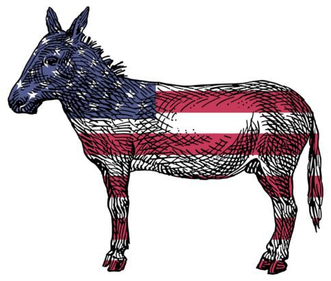 Democratic Nat’l Committee’s Kneejerk Backing of Israel Is Political and Moral Failure