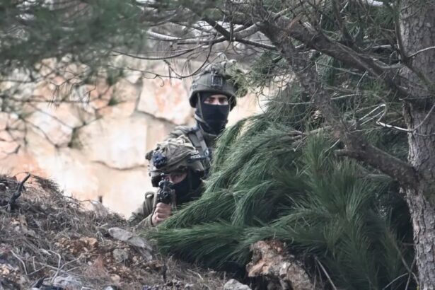 Thousands dead and neighborhoods razed to the ground: Aid agencies fear southern Lebanon is becoming the new Gaza