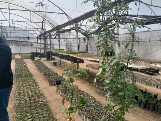 Palestinians in Gaza Want to Rebuild Food Systems. Israel Isn’t Letting Them.