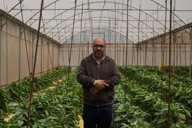 Israel’s war on the West Bank comes for Palestinian greenhouses