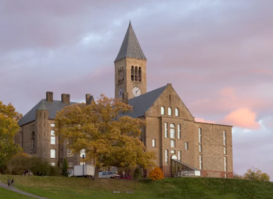 Hidden Deep in an NPR Story About a Man Who Threatened to Kill Jews at Cornell… He Admits He Did It to Make People Love Israel