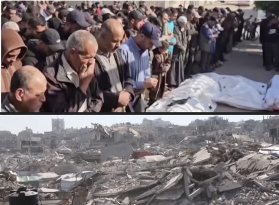 Israel is outright killing not just Palestinians, but the very idea of Palestine –Daily Update