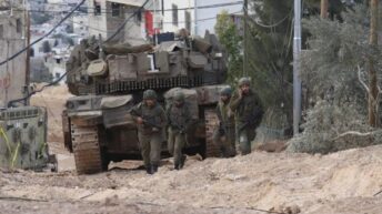 Armed Israeli Colonizers Destroy Agricultural Property, Seize Land in West Bank
