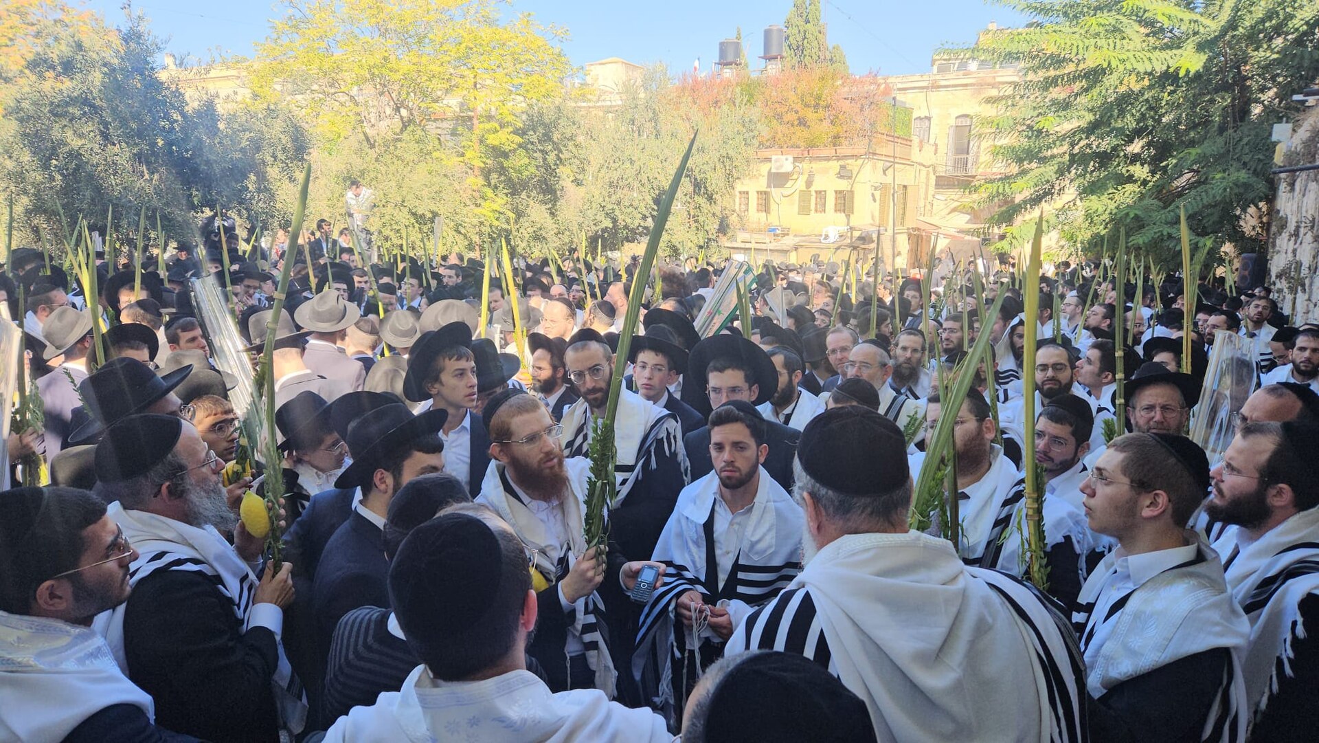 A large gathering of students from Yeshivat Aderet Eliyahu located in the Old City of occupied Jerusalem, celebrating the Jewish festival of Sukkot.