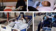 Congress members beg Israel to give Gaza cancer patients a chance at survival –  Daily Update