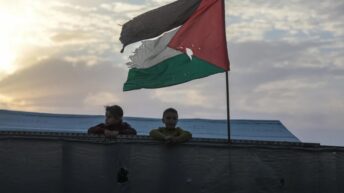 Internal Documents Show Trump’s “Board of Peace“ Moving to Crush Palestinian Self-Determination