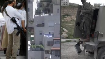 Israeli settlers, soldiers, gov’t go all out against West Bank Palestinians – Daily Update