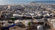 Unbelievable pressure on Gaza from Israel, “Board of Peace” – Daily Update