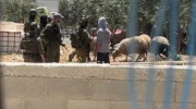 The blatant racism and cruelty that define Israel’s settler movement