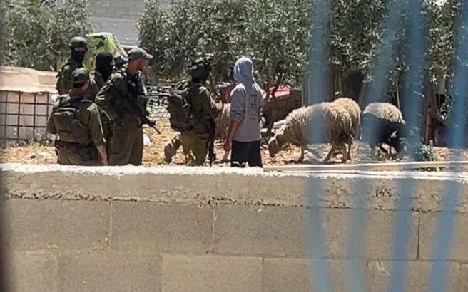 The blatant racism and cruelty that define Israel’s settler movement The blatant racism and cruelty that define Israel’s settler movement