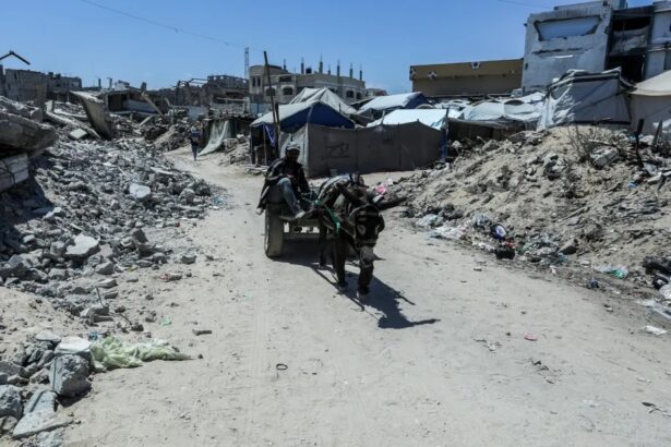 Don’t think for a second that the Gaza genocide is over – Daily Update Don’t think for a second that the Gaza genocide is over – Daily Update
