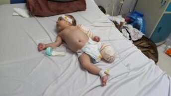 Israel commits over 3,500 ceasefire violations against Gaza – Daily Update
