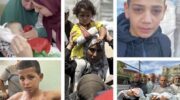 Suffer the little children in Gaza, West Bank – Daily Update