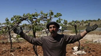 Israel announces theft of Palestinian land in West Bank to expand road for settlers
