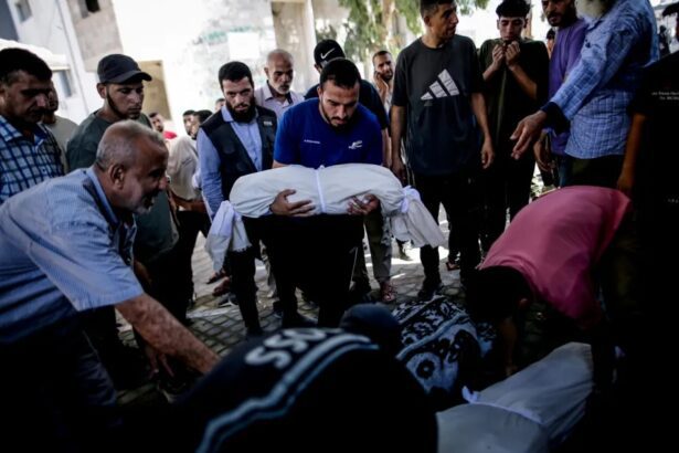 During “ceasefire,” one third of dead, half of injured Gazans were children, women, and the elderly – Daily Update