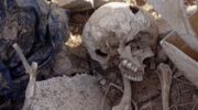 Is Israel paving streets with Gaza rubble containing bodies – and is the Board of Peace funding it?