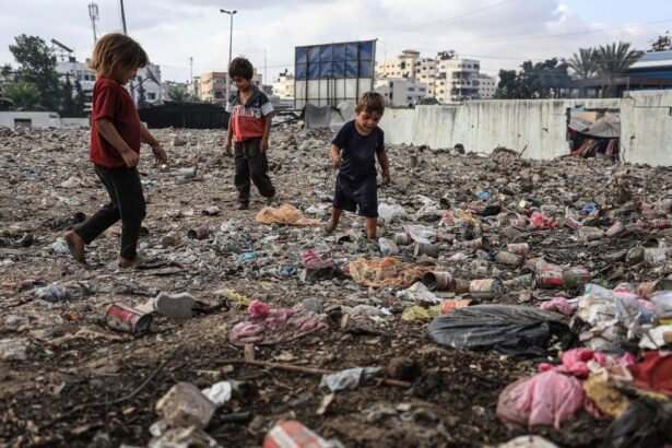 Sewage, trash, rodent catastrophe in Gaza