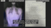 Two girls shot in Gaza – BBC pieces together what happened and looks at dozens more child shootings