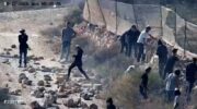 Huckabee Calls Israeli Settler Siege of Palestinian Homes ‘an Act of Terror’ but Defends the Broader Settler Movement