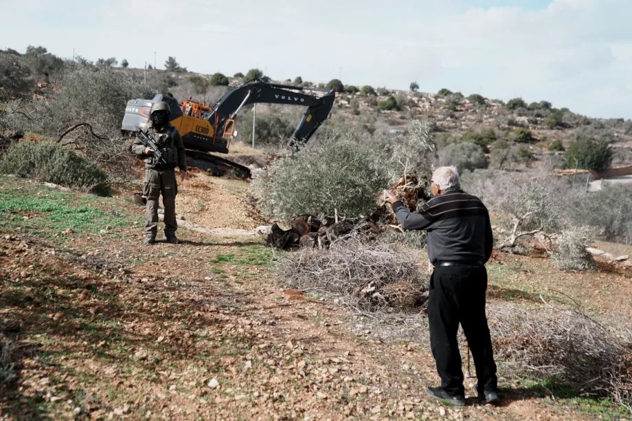 Israeli soldiers stand by as Israeli construction vehicles destroy agricultural lands and uproot centuries-old olive trees in the village of Karyut, south of the city of Nablus, West Bank on December 08, 2025.