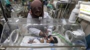 Too many preemies in Gaza, no room in the NICU – Daily Update