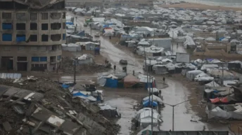 Nearly 2 Million in Gaza Need Urgent Shelter Assistance as Winter Looms: IOM Chief Warns
