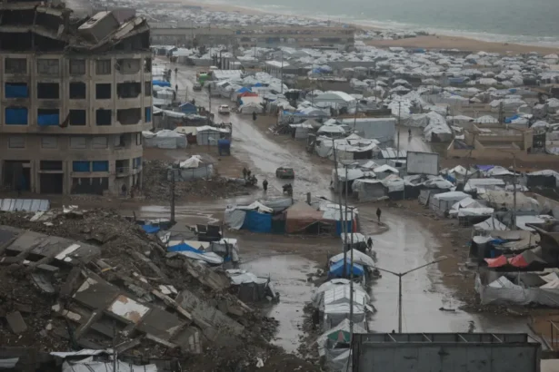 Nearly 2 Million in Gaza Need Urgent Shelter Assistance as Winter Looms: IOM Chief Warns Nearly 2 Million in Gaza Need Urgent Shelter Assistance as Winter Looms: IOM Chief Warns