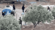 Three Times in a Week: Israeli Settler Raids Into West Bank Village End With IDF Shooting Palestinians