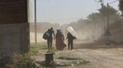 West Bank: UN rights report warns of forcible displacement from three refugee camps