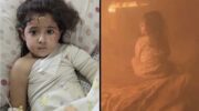Gaza’s “ceasefire” death toll passes 1,500 – Daily Update