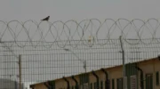 Thousands Are Held in Israeli Torture Camps. This Is What Happens Inside